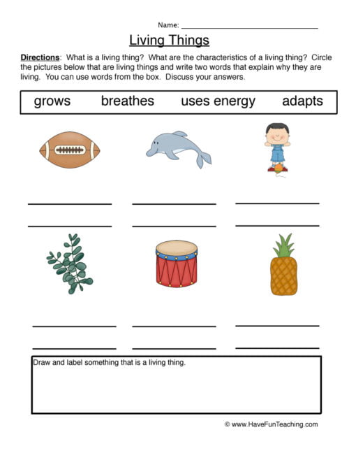 Sorting Characteristics Living Things Worksheets - WorksheetsCity
