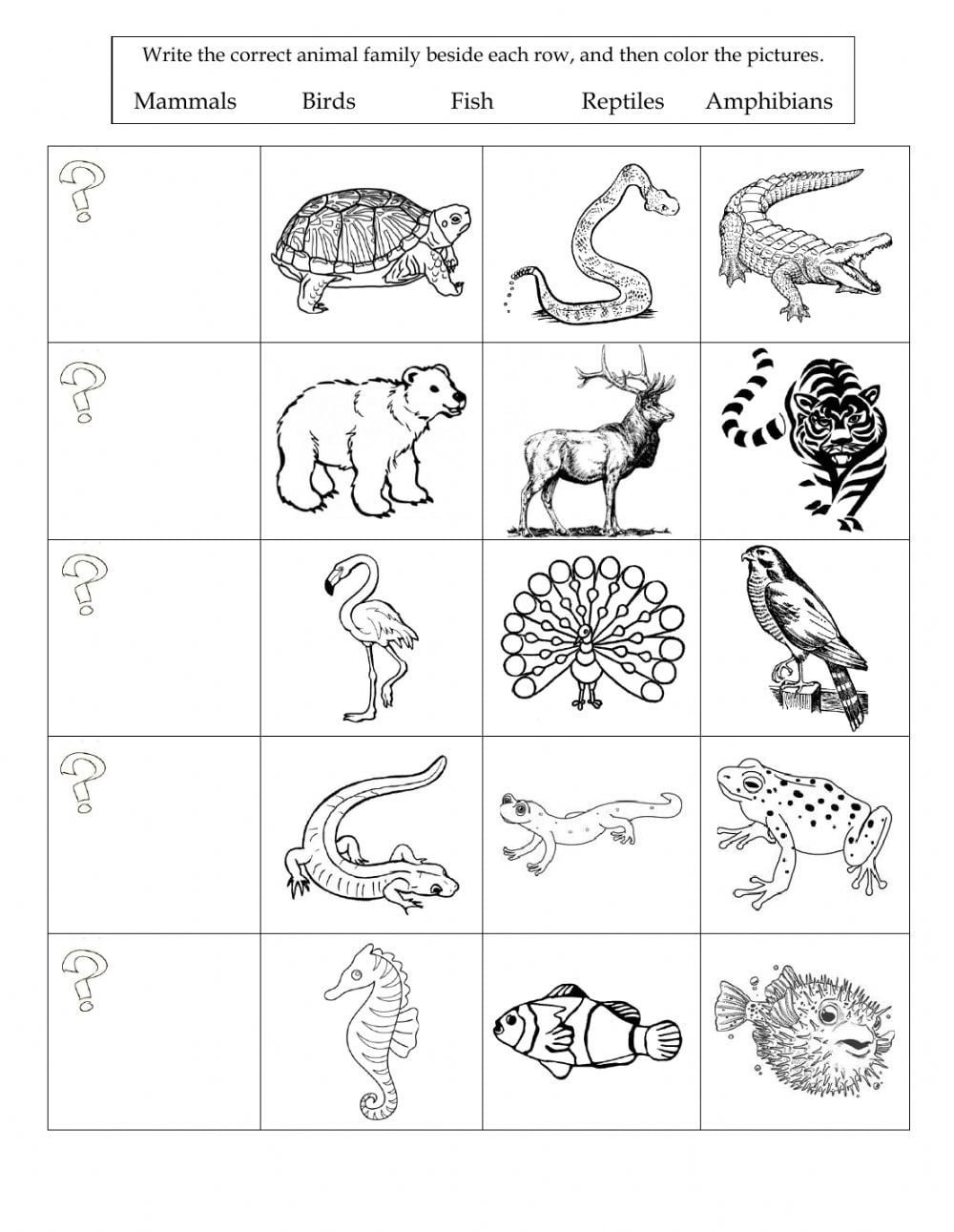 mammal-taxonomy-worksheets-worksheetscity