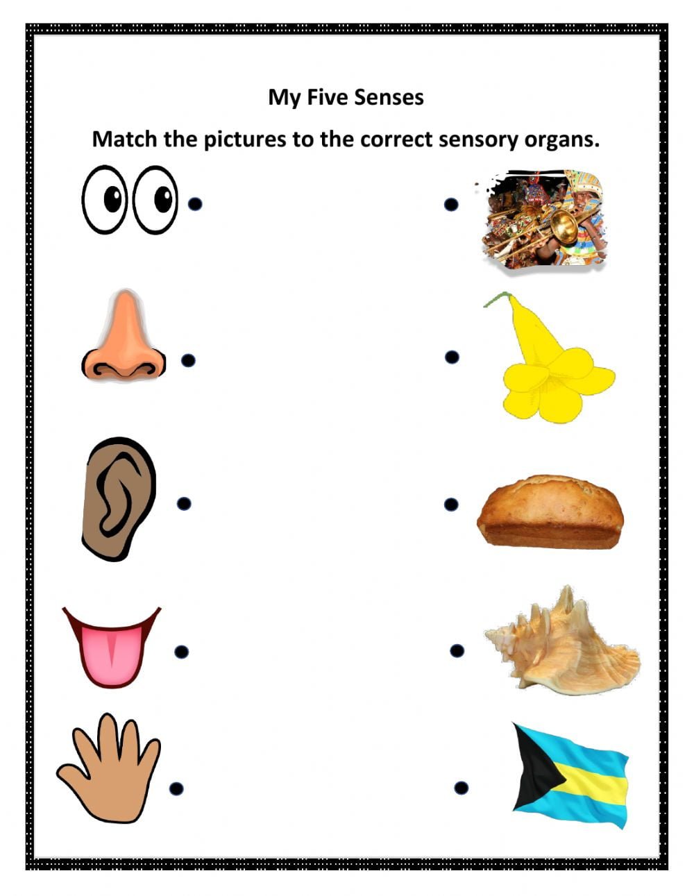 Five Senses Matching Worksheet Worksheet