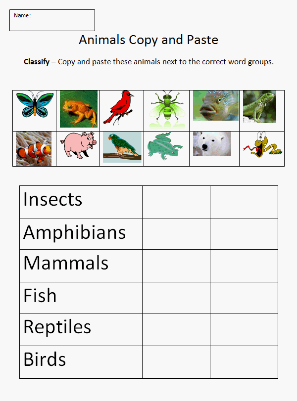 sorting-animals-into-groups-worksheets-worksheetscity