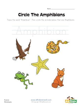 Amphibians Worksheets - WorksheetsCity