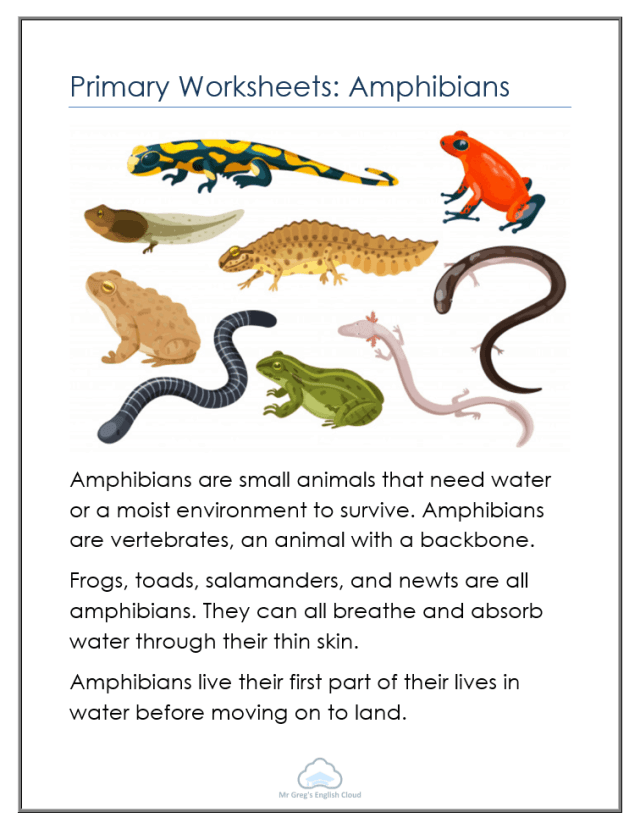 amphibians-worksheets-worksheetscity