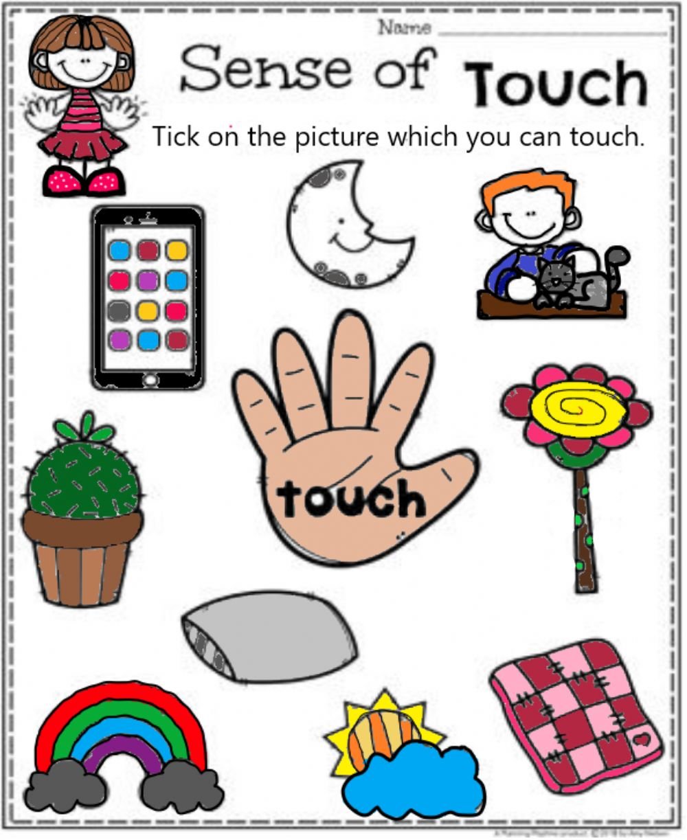 senses-touch-worksheets-worksheetscity