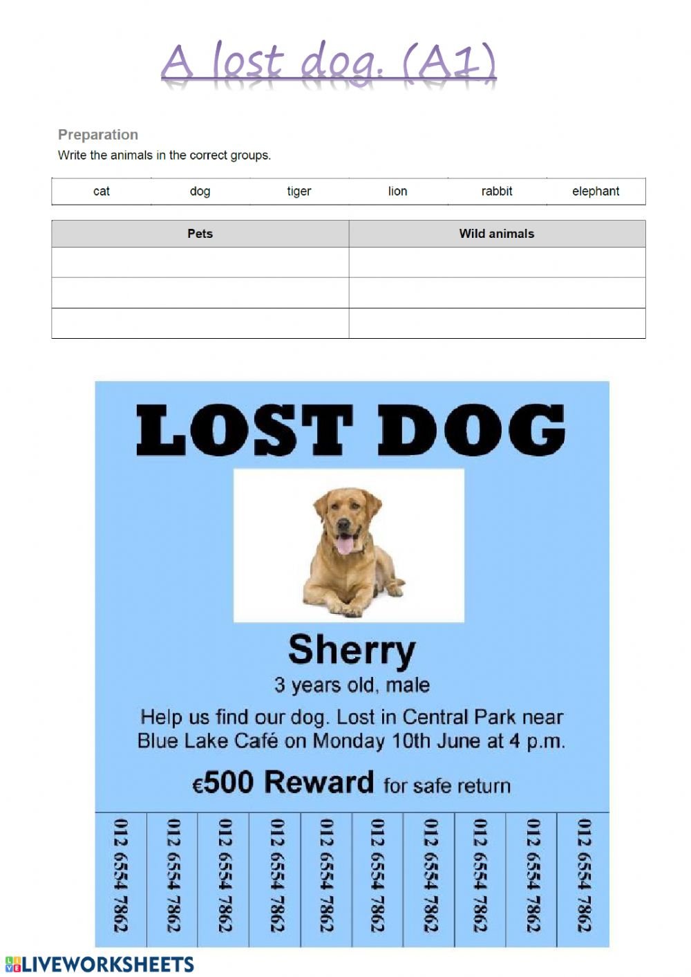 A Lost Dog Worksheet
