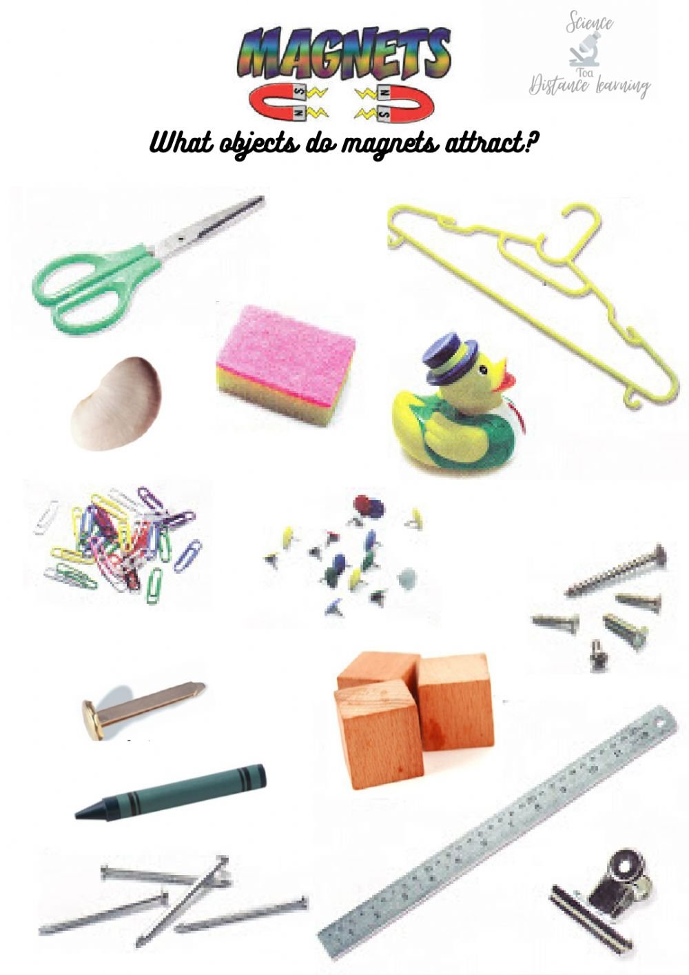 Classroom Objects Magnet Attraction Worksheets WorksheetsCity