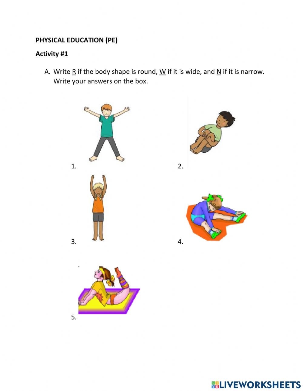 Body Shapes And Actions Worksheet
